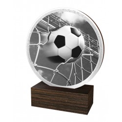 Dřevěná plaketa TFRW810 | Fotbal