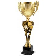 Trofej ACUPMR2026M28 | Karty Trofej ACUPMR2026M28 | Karty