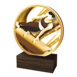 Dřevěná plaketa TFRW734 | Gymnastika