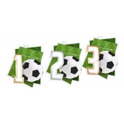 Akrylátová medaile MDAF0017 | Fotbal
