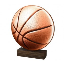Dřevěná plaketa WF261 | Basketball