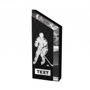 Dřevěná trofej WM001M03 | Hokej