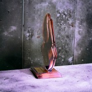 Akrylátová trofej AWF M14 | Bojová umění
