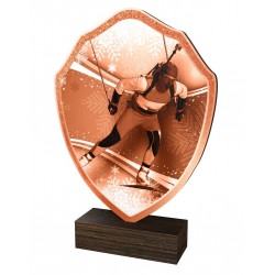 Dřevěná plaketa TFRW296 | Biatlon