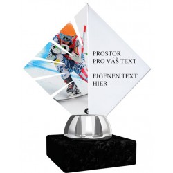 Akrylátová trofej ACL15NM49 | Lyžování