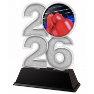 Akrylátová trofej C2026M25 | Bojová umění