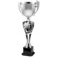 Trofej ACUPMR2026M19 | Pickleball Trofej ACUPMR2026M19 | Pickleball