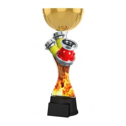 Akrylátová trofej ACUPCGMINIM11 | Hasiči