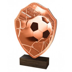 Dřevěná plaketa TFRW311 | Fotbal