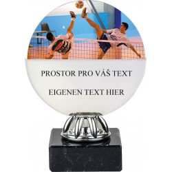 Akrylátová trofej ACL6NM08 | Nohejbal
