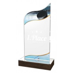 Akrylátová trofej WPLA545 | Hokej
