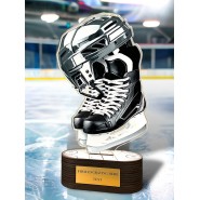Akrylátová trofej TLR2023292 | Hokej