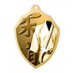 Kovová medaile MDMR02M21 | Bojová umění