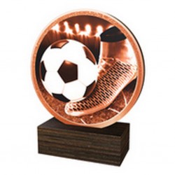 Dřevěná plaketa TFRW508 | Fotbal