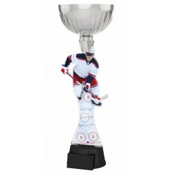 Akrylátová trofej ACUPCSM11 | Hokej