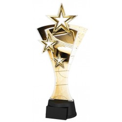 Akrylátová trofej ASTARN001M13 | Hokej