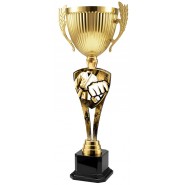 Trofej ACUPMR2026M20 | Bojová umění Trofej ACUPMR2026M20 | Bojová umění