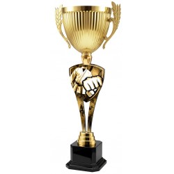 Trofej ACUPMR2026M20 | Bojová umění