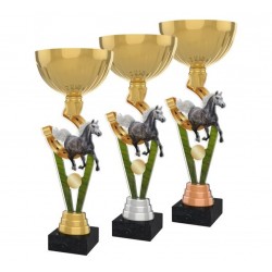 Akrylátová trofej ACUPGOLD M11 | Jezdectví