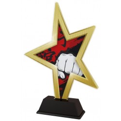 Akrylátová trofej STAR002M15 | Bojová umění