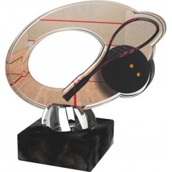 Akrylátová trofej ACL2102M48 | Squash