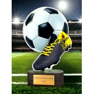 Akrylátová trofej TL2023202 | Fotbal