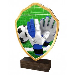 Dřevěná plaketa TFRW316 | Fotbal