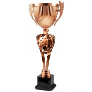 Trofej ACUPMR2026M19 | Pickleball Trofej ACUPMR2026M19 | Pickleball