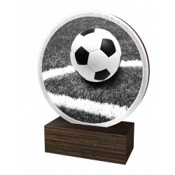 Dřevěná plaketa TFRW814 | Fotbal
