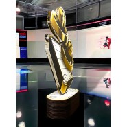 Akrylátová trofej TLR2023297 | Stolní hokej