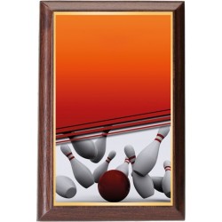 Plaketa PLP3M17 | Bowling