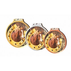 Medaile MDAW002M55 | Jezdectví