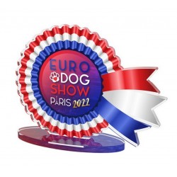 Akrylátová trofej EDS22CLICK01