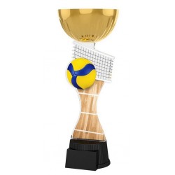 Akrylátová trofej ACUPCGMINIM26 | Volejbal