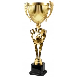 Trofej ACUPMR2026M24 | Bowling