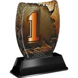 Akrylátová trofej ACE2018M45 | Čísla - 1. místo
