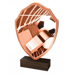 Dřevěná plaketa TFRW323 | Fotbal