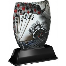 Akrylátová trofej ACE2018M28 | Karty