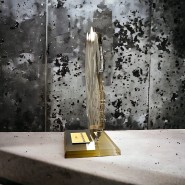 Akrylátová trofej AWF M69 | Sjezdové lyžování