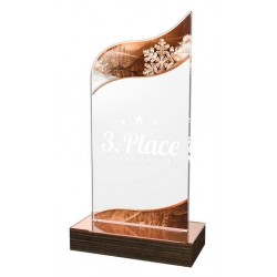 Akrylátová trofej WPLA648