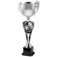 Trofej ACUPMR2026M28 | Karty Trofej ACUPMR2026M28 | Karty