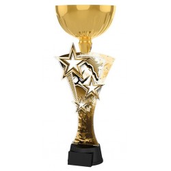 Akrylátová trofej ASTARNCUPM15 | Bojová umění