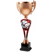 Trofej ACUPM2026M20 | Bojová umění Trofej ACUPM2026M20 | Bojová umění