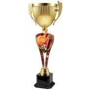 Trofej ACUPM2026M22 | Střelba