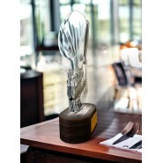 Akrylátová trofej TLR2023349 | Kuchyně