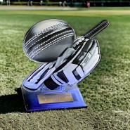 Akrylátová trofej AWF M12 | Cricket