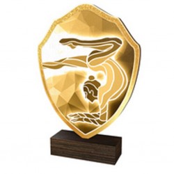 Dřevěná plaketa TFRW111 | Gymnastika