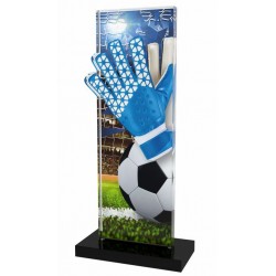 Akrylátová trofej APLAM05 | Fotbal