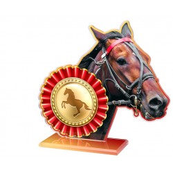 Akrylátová trofej AWF M54 | Jezdectví