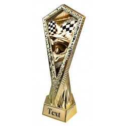 Sportovní trofej AYR1M09 | Motorsport